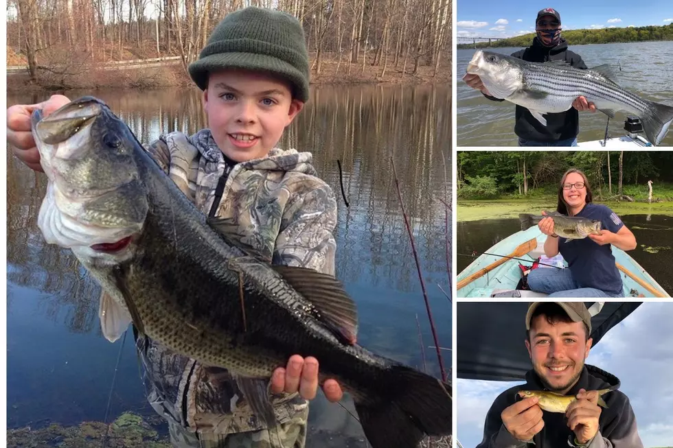 Show Us Your Bass: Enter To Win A $500 Gift Card to ND Archery