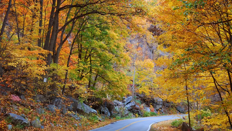Peak Leaf Peeping Conditions Makes Its Way to the Hudson Valley