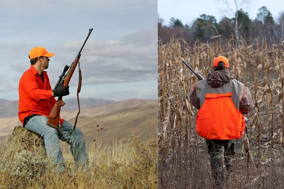 Hunters Look out! DEC has Already Written 150 tickets This Hunting Season in New York