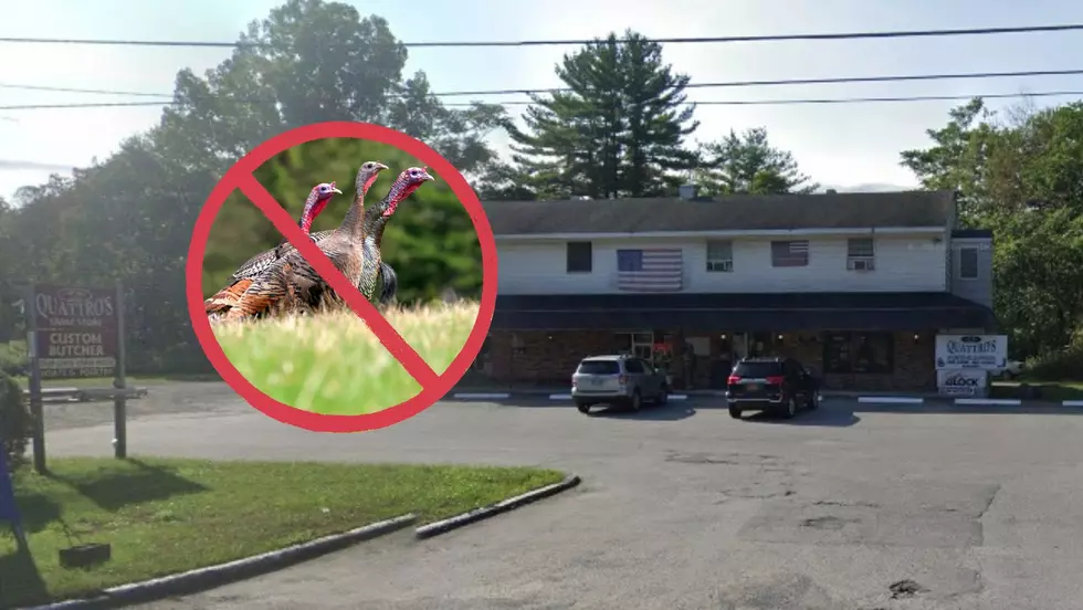 Pleasant Valley, New York Farm Forced to Stop Selling Wild Turkey
