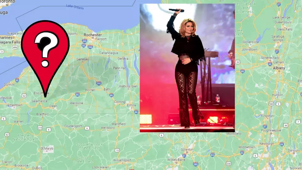 Did You Know Shania Twain Has Ties to Upstate, New York?