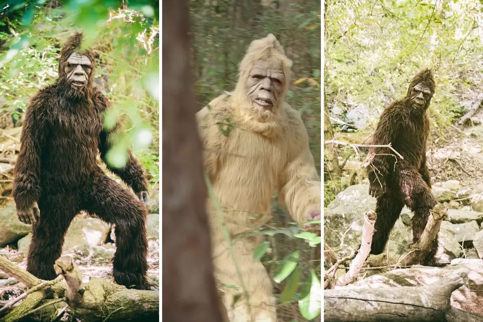 Bigfoot Con Coming to New York, Here's When and Where