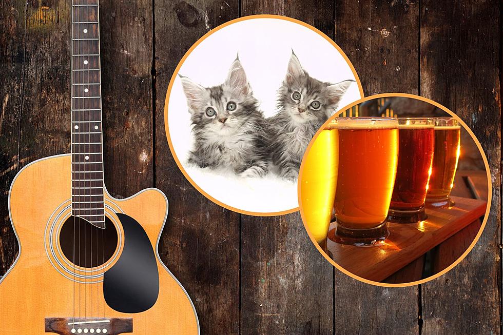 Guitars, Cats and Beer Can Make for a Good Weekend in New York