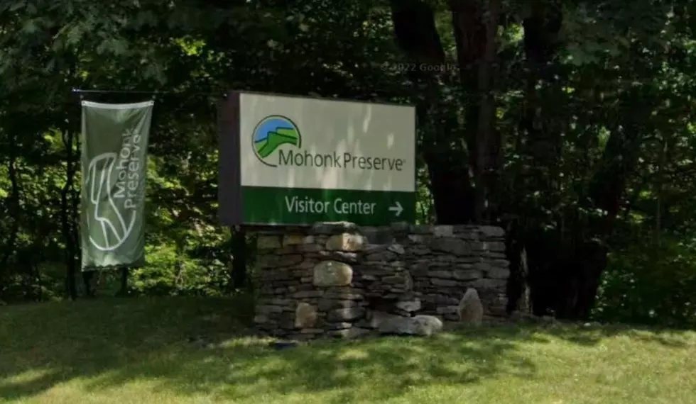 Mohonk Preserve Offering FREE Passes to Ulster County Residents