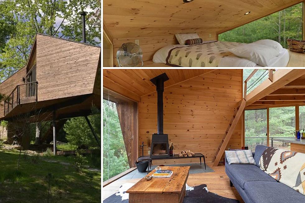 Treat Yourself to a Tree House Vacation in New York