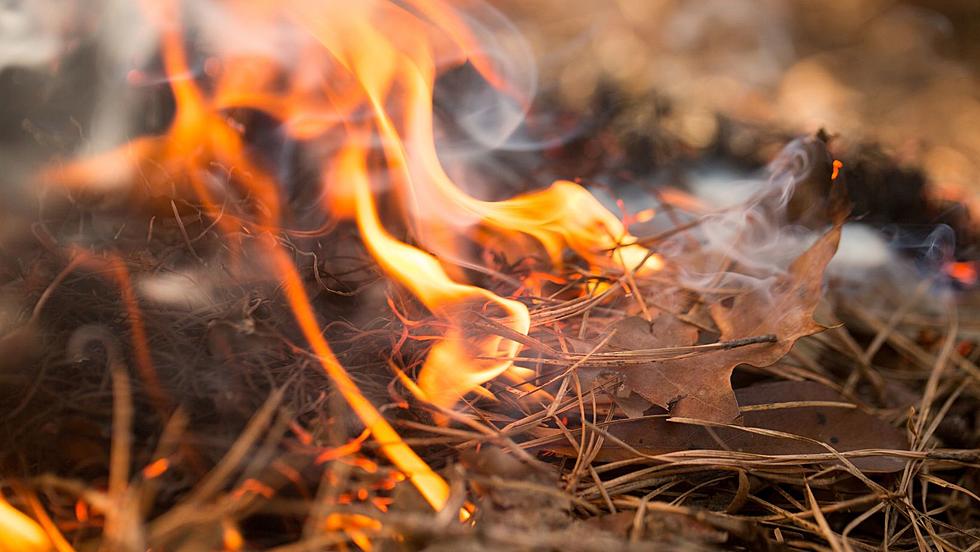 Fire Weather Watch Issued for Parts of the Hudson Valley
