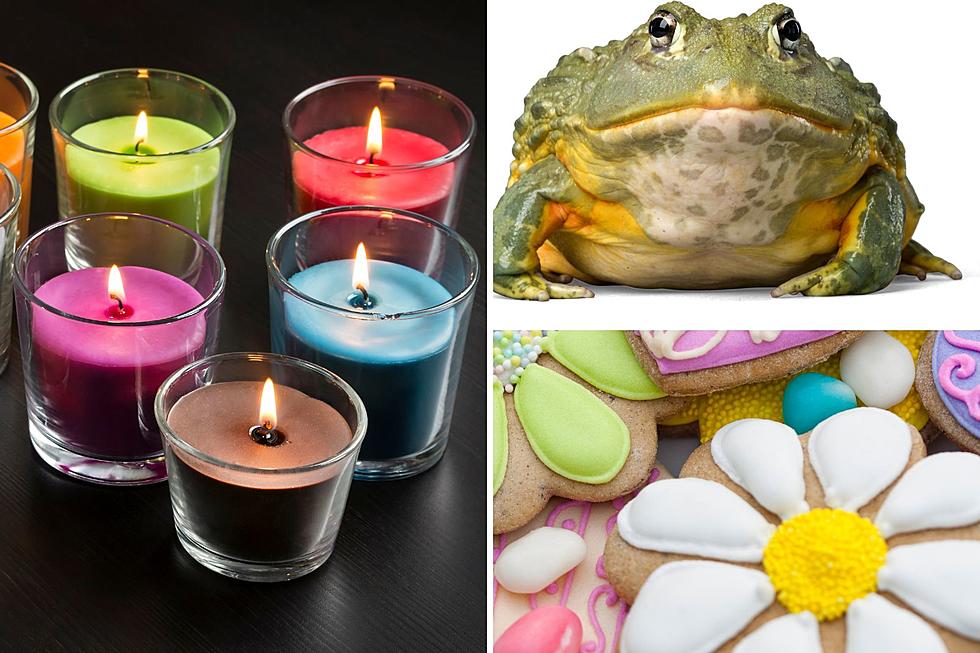 Announcing Cookies Candles and Frogs This Week's Tax Distraction