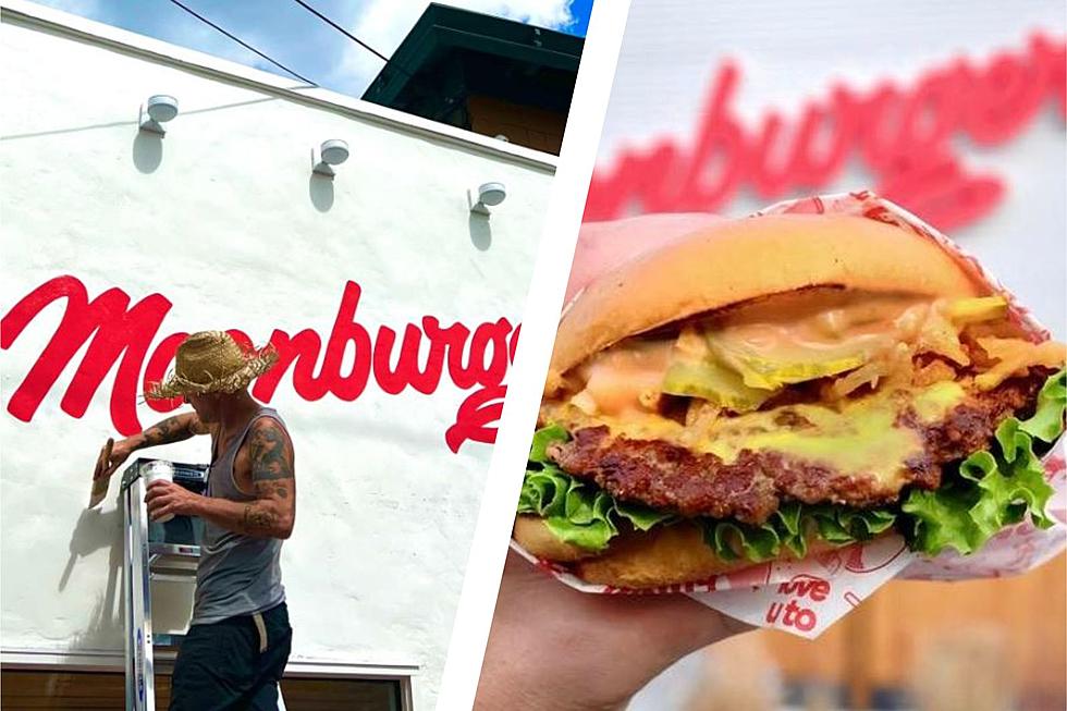 Just in Time Moonburger Lands in New Paltz New York