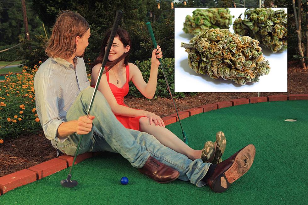 New York Mini Golf Course Adds More To Do At 'Puff Puff Putt'