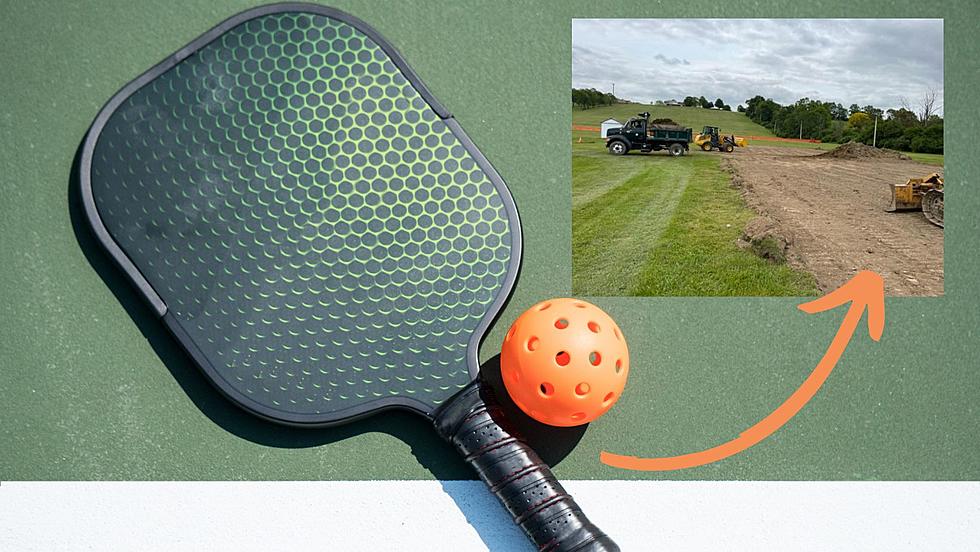 Orange County Community in a Pickle over New Pickleball Courts