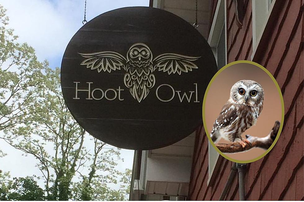 Pine Bush New York Restaurant Will Host Owl Event