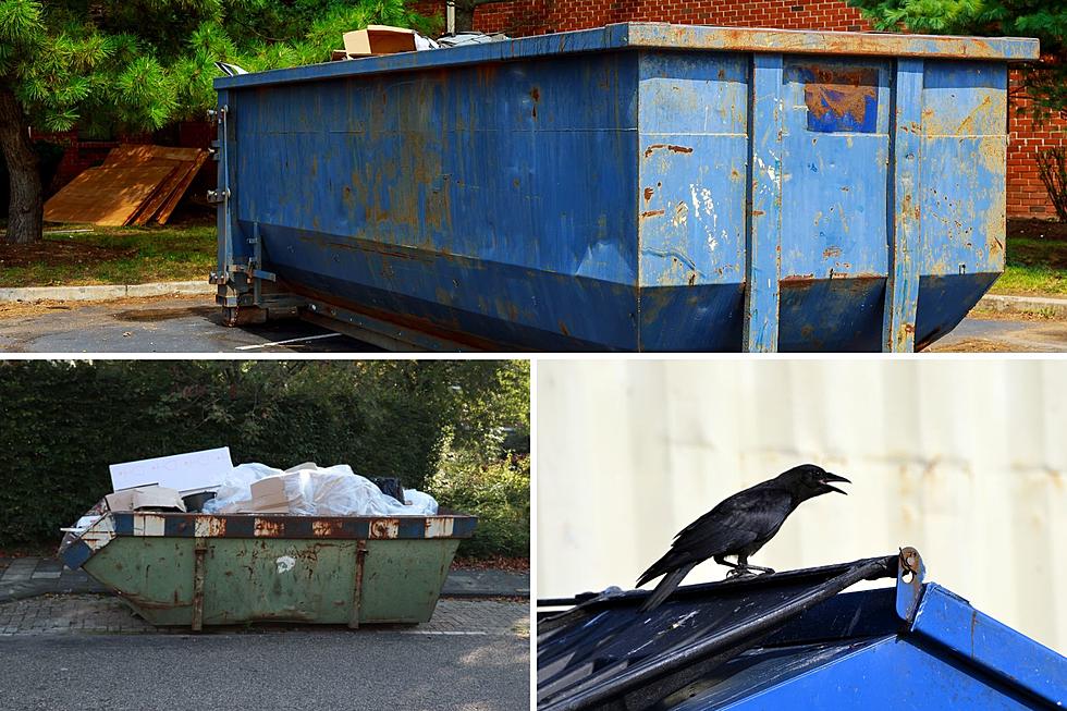 Who Rents Roll-off Dumpster in the Hudson Valley New York