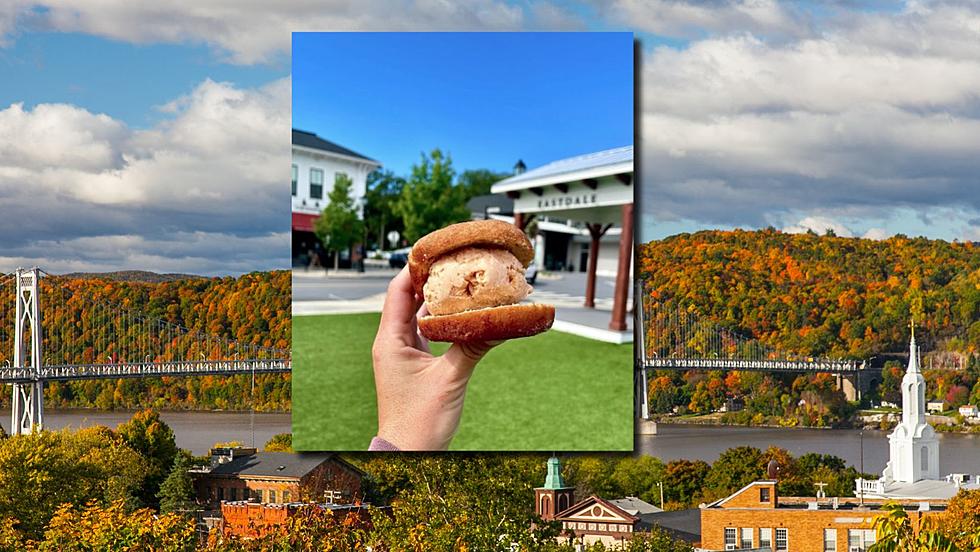 Embrace Autumn in Poughkeepsie, NY with a Apple Cider 'Sammy'