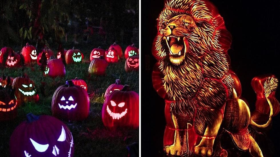 Watch the Jack O’Lanterns Glow at Pumpkin World in Pomona, NY