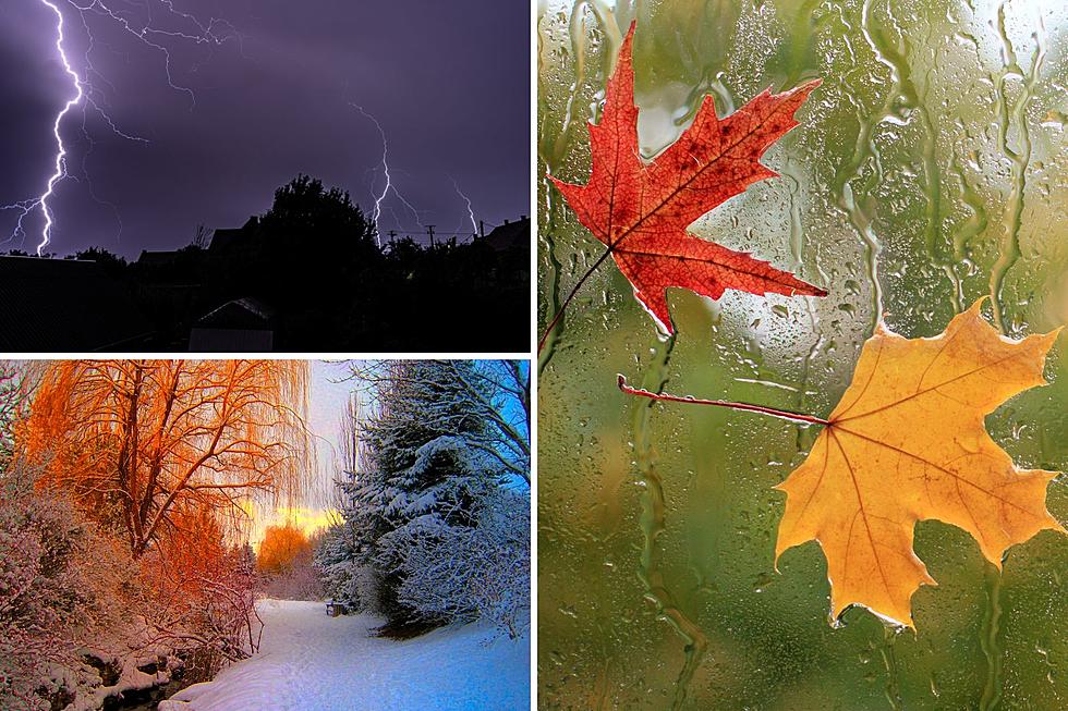 September Sayings that Could Predict Upcoming Weather in New York