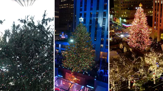 A Look Back at 20 Spectacular Hudson Valley Trees Used at Rockefeller Center