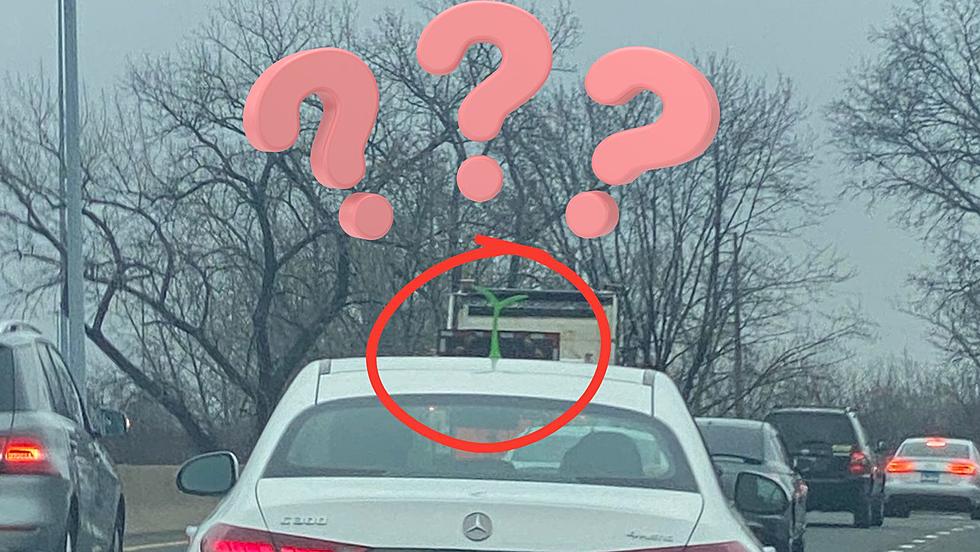 Have You Seen A Car Sprout? What Does it Mean?