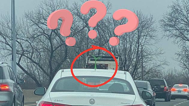 Have You Seen A Car Sprout? What Does it Mean?