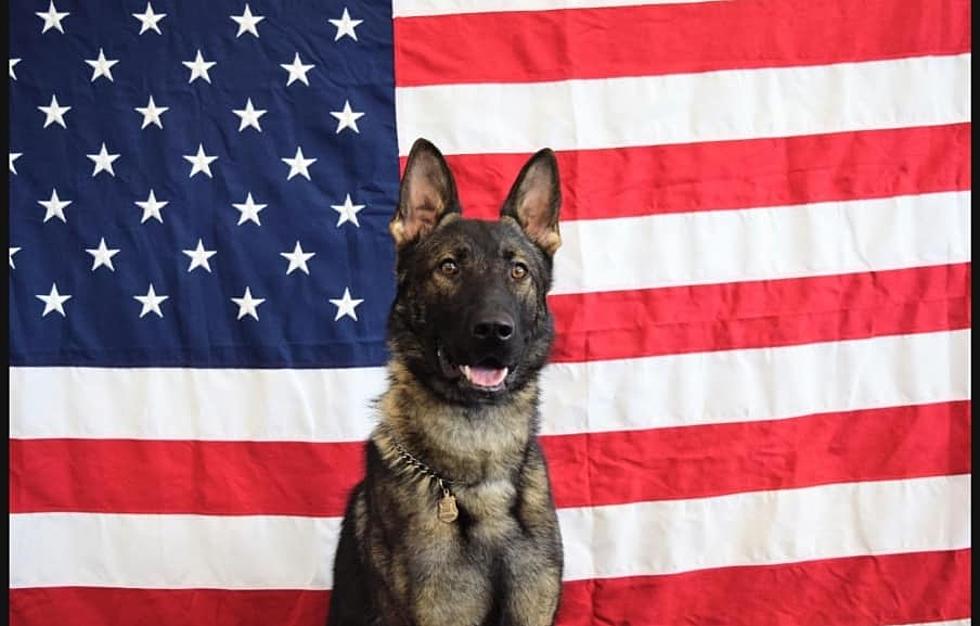 The City of Peekskill Police Department Mourns Loss of K9 Charlie