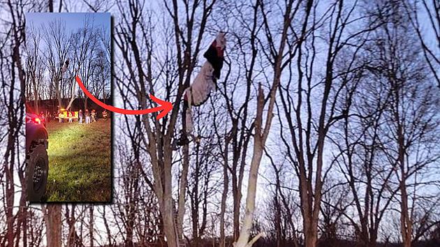 Port Jervis, NY Fire Department Assists in Skydiver Rescue