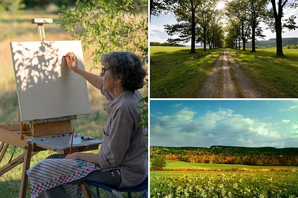 Ever Wanted To Watch a Hudson Valley Painting be Created