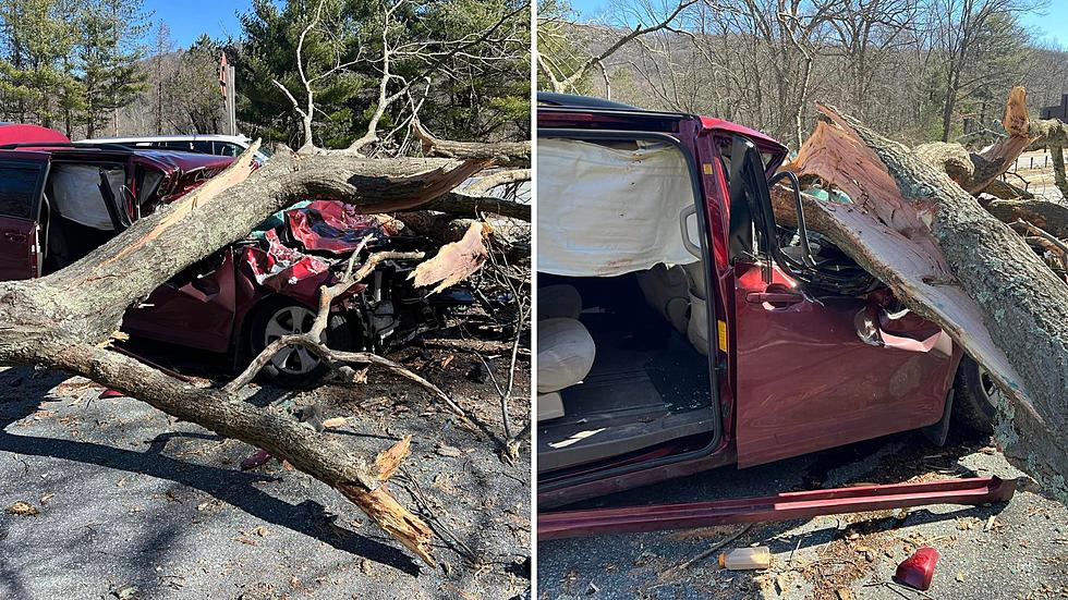 Dangerous Winds Cause Scary Car Incident In Woodbury, NY