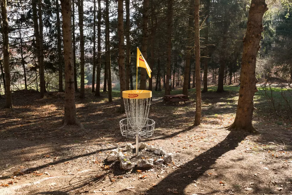Hudson Valley Disc Golf Course Named One Of The Best in The World