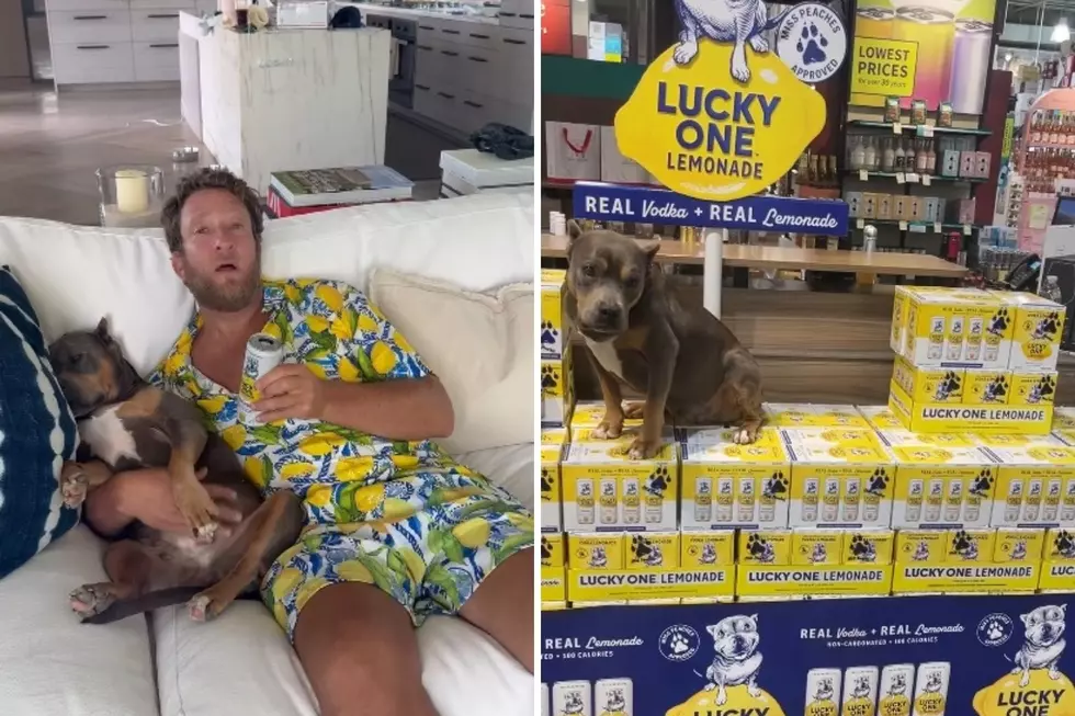 State of The Art Barstool Dog Rescue Bus to Bring Rescue Pups to Saratoga Springs