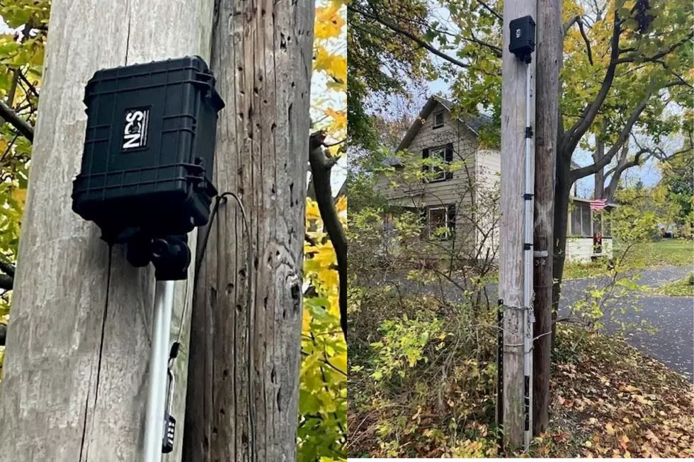 Why Are Small Black Boxes Appearing on Poles in Kingston?