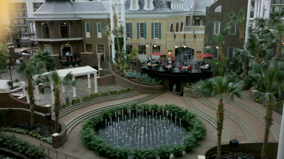 Eric’s Trip To Gaylord Opryland Resort