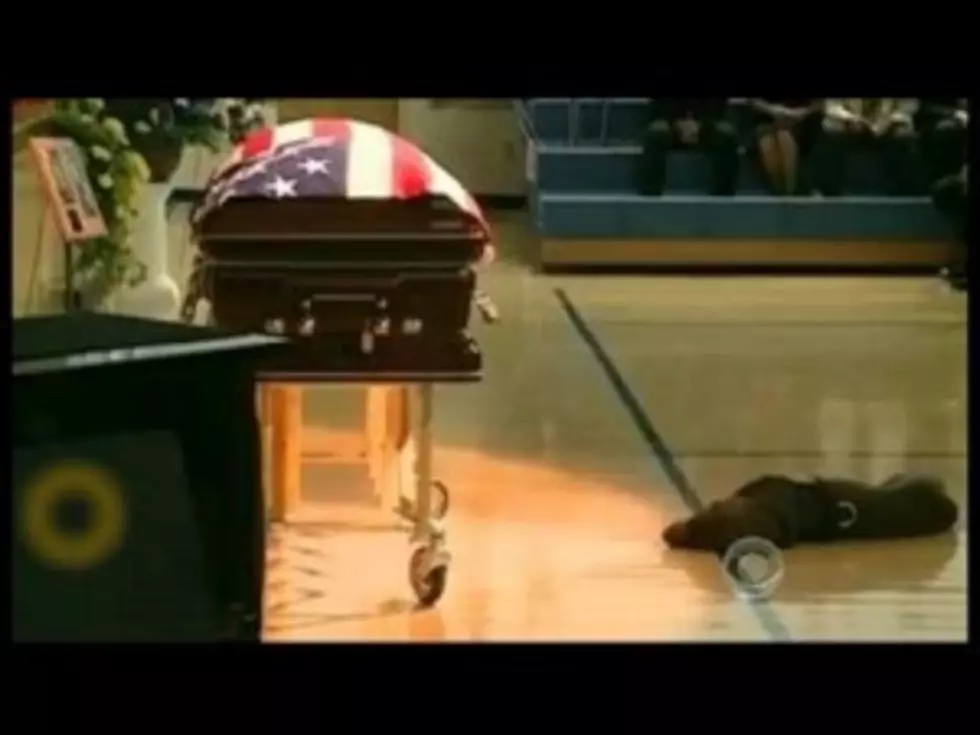 Dog Stays At The Casket Of His Fallen Navy Seal Master