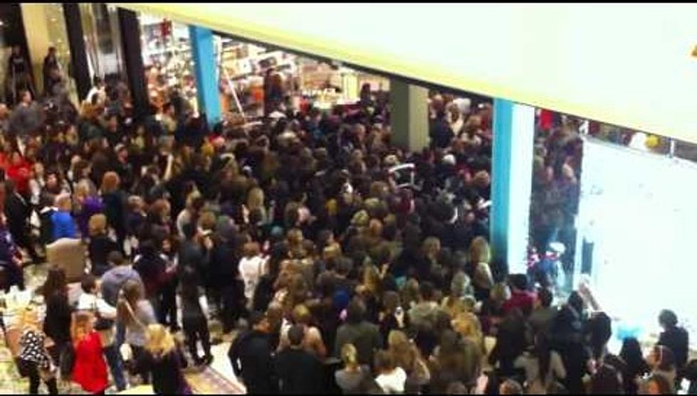 Black Friday Crowd Rushes Store [Video]