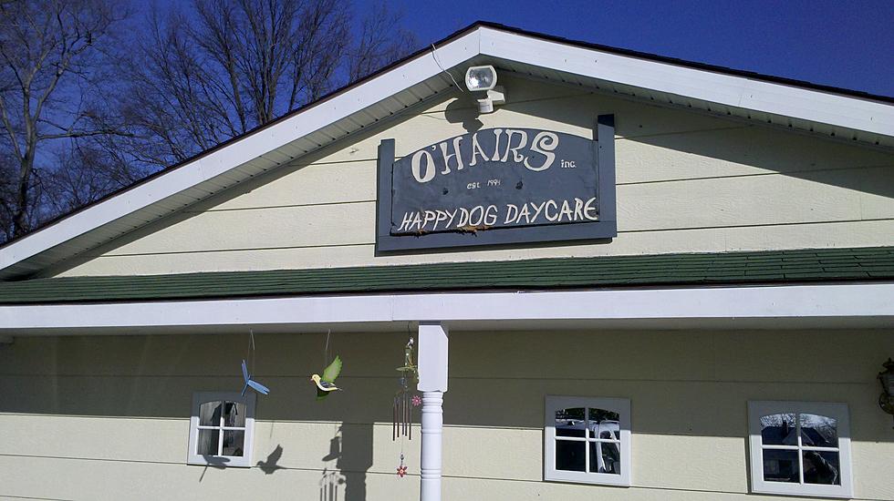 O’Hairs Is Making ‘Happy Dogs’ In Evansville