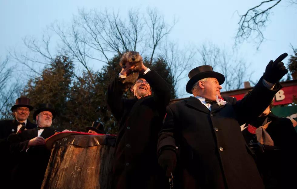 Another Groundhog Day and Another Six Weeks of Winter According to Punxsutawney Phil