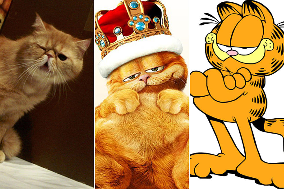11 Things You Didn’t Know About ‘Garfield’