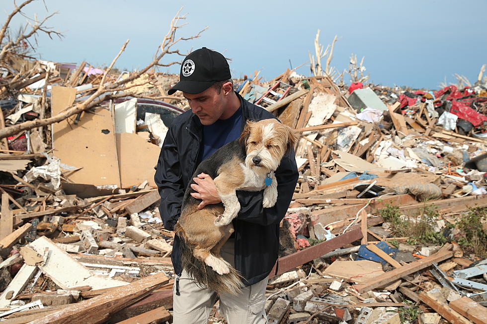 B.U.L.L.I.E. Nation Rescue Is Helping The Animals Of Moore, Oklahoma
