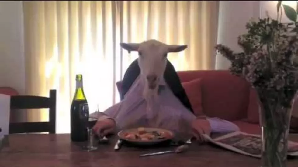 Watch a Goat That Eats Dinner and Reads the Newspaper Just Like a Human