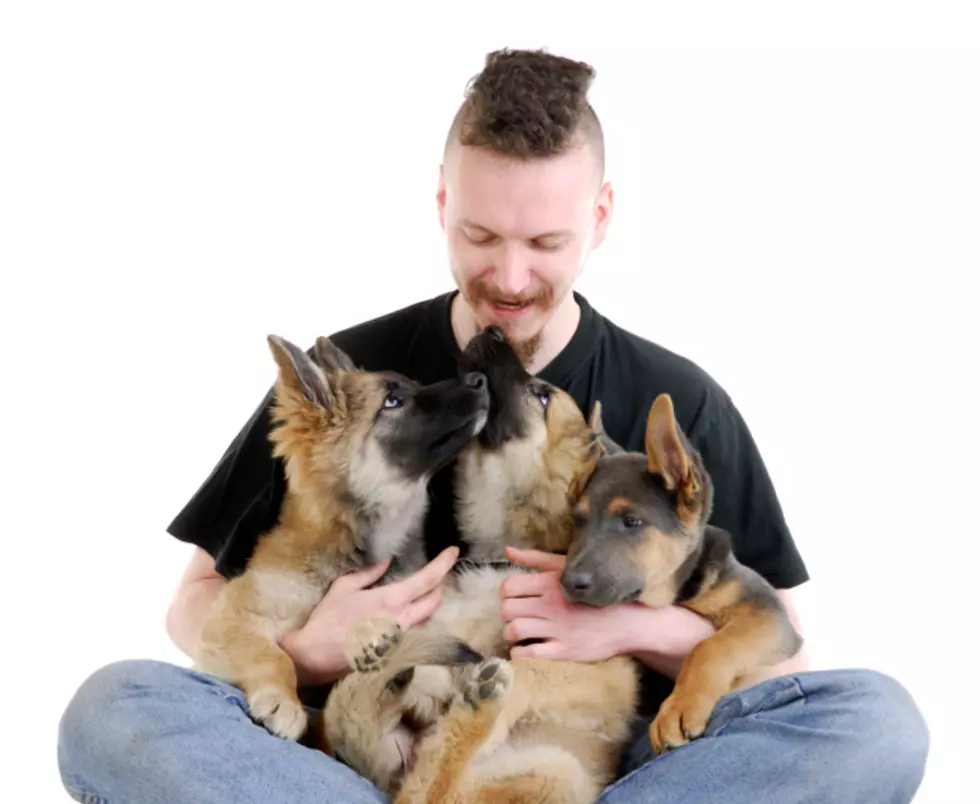 Guy Adopts Two Puppies, No Wait, They&#8217;re Bears
