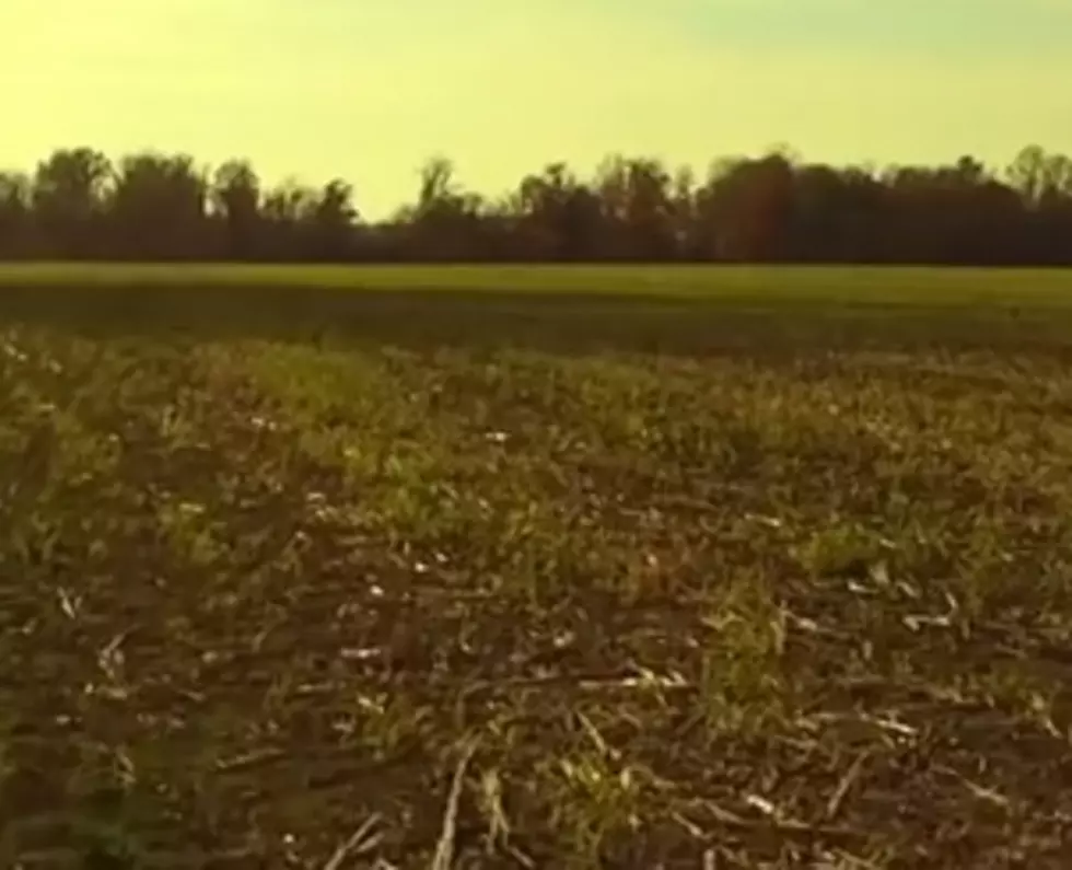 A Drone’s View of Indiana [VIDEO]