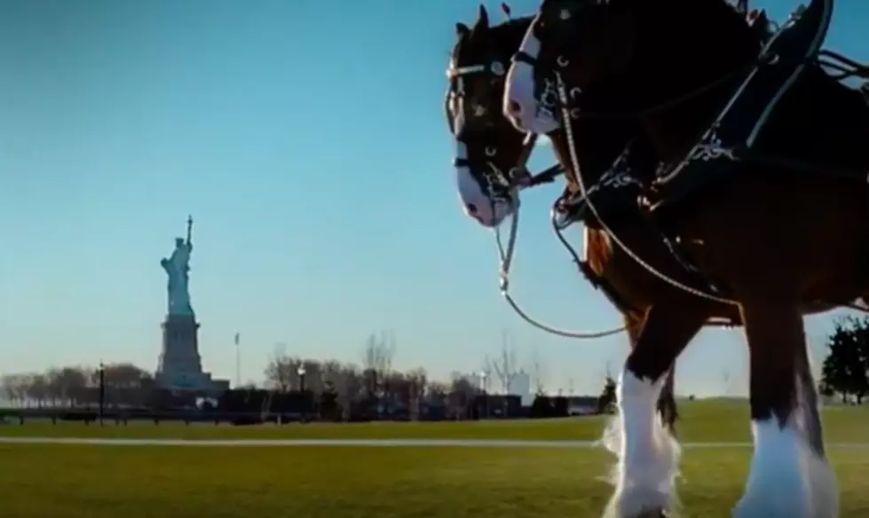 Budweiser Clydesdales 9/11 Tribute Commercial Only Aired Once