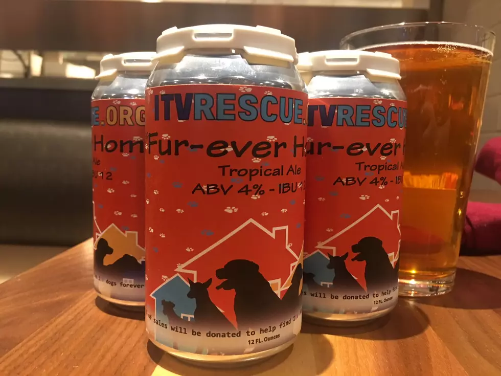 Where to Find &#8220;Fur-Ever Home&#8221; Ale to Help It Takes a Village!