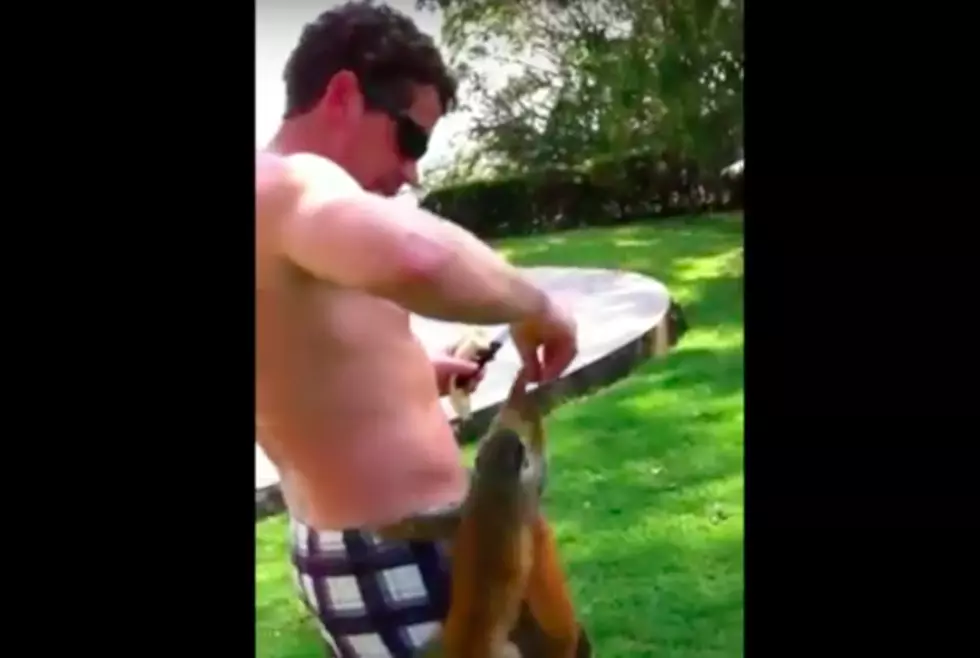 Evansville Man Feeding Monkeys on Vacation is Beyond Cool