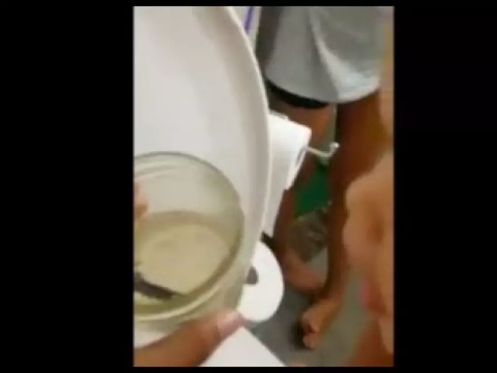 Local Dad Helps Daughters Say Goodbye To Pet Fish and It&#8217;s Hilarious