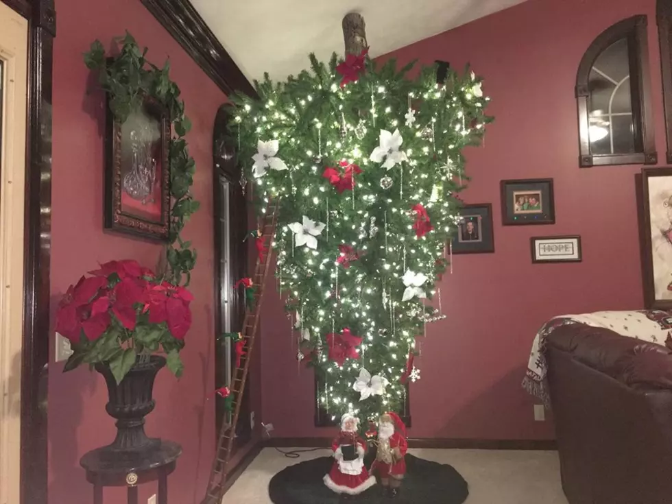 Check Out This Boonville Family’s Unique Christmas Tree