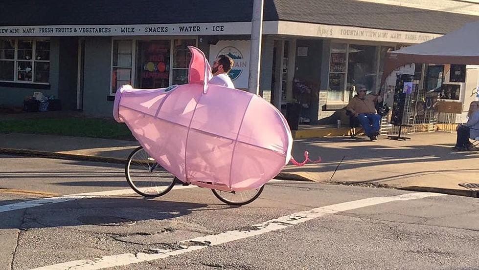 Free Pig Bike In Evansville To Good Home