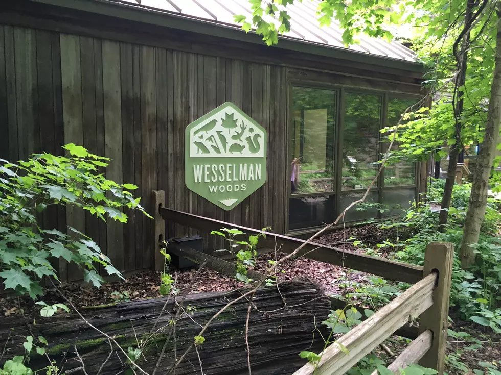 Registration Open for 2020 Wesselman Woods Summer Camp