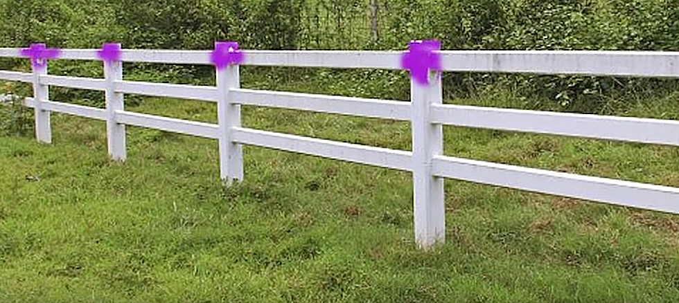 If You See Purple Paint in Indiana Woods, You Need to Leave the Property