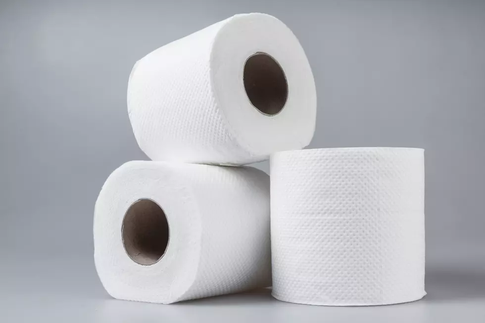 How To Ration Toilet Paper By Using One Square [FUNNY VIDEO]