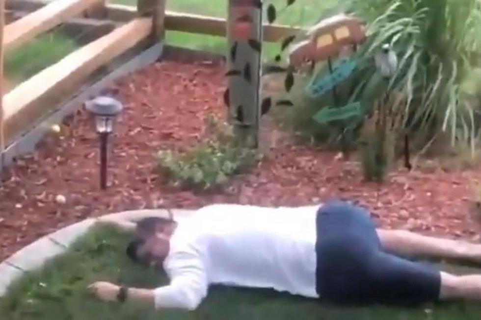 Golf Ball Lands In This Guys Yard- What He Does Next Is Hilarious! [VIDEO]