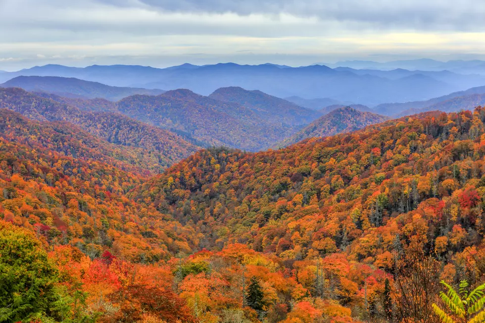 Here's When The Fall Colors Will Peak At The Smoky Mountains 